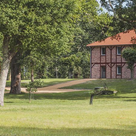 Maison Montaut Onesse-et-Laharie Экстерьер фото